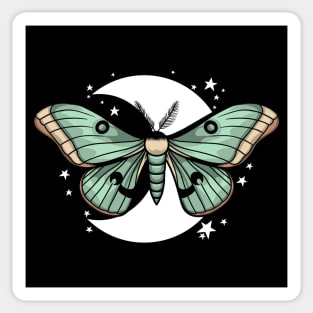 Chinese moon moth Sticker